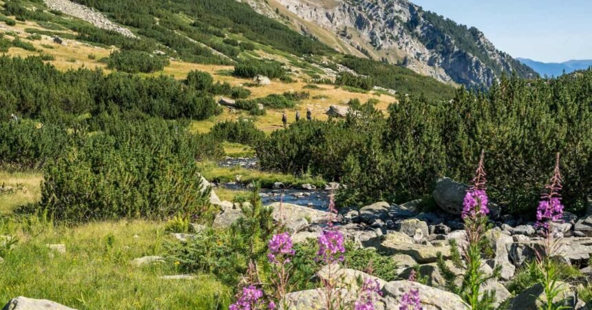 bulgaria wilderness